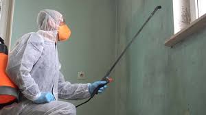 Best Black Mold Removal  in Cumming, GA