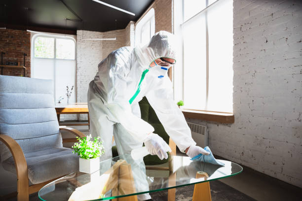 Best Mold Remediation for Healthcare Facilities  in Cumming, GA