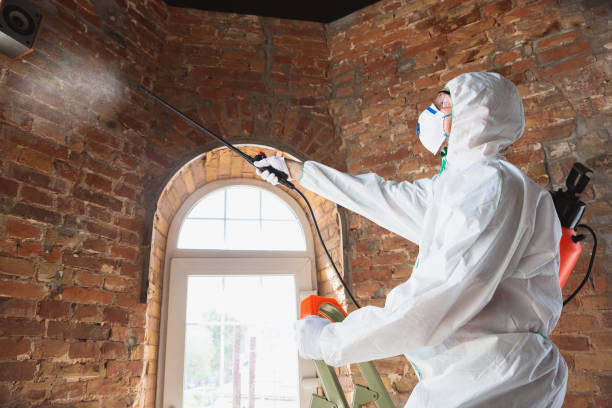  Cumming, GA Mold Removal & Remediation Pros