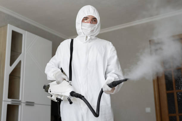 Best Biohazard Mold Removal  in Cumming, GA