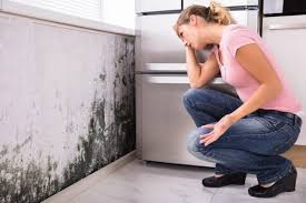 Mold Remediation for Rental Properties in Cumming, GA